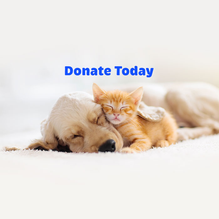 Donate Today